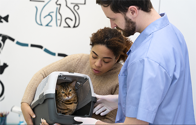 Client avec animal