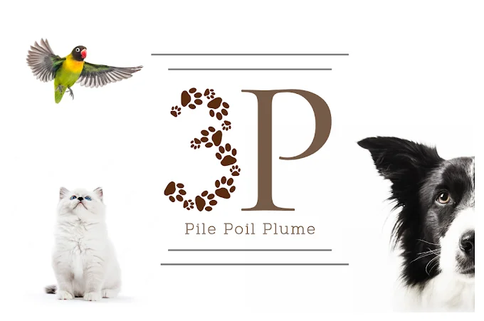 Pile Poil Plume | Petsitter Strasbourg